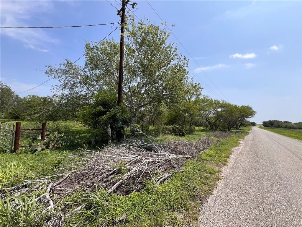 39.35 acres in Nueces County gallery image 3