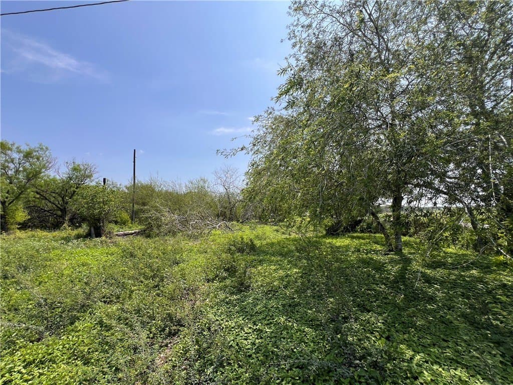 39.35 acres in Nueces County gallery image 4