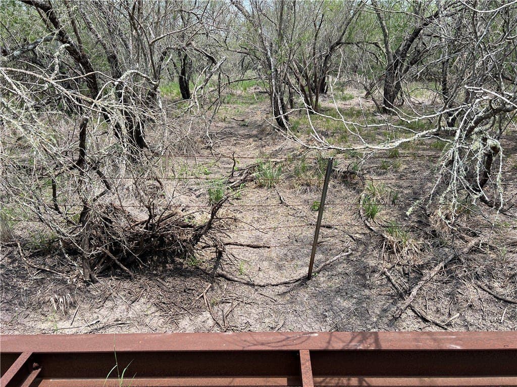 39.35 acres in Nueces County - photo 34