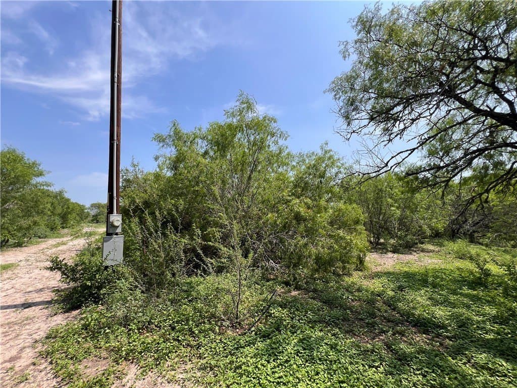 39.35 acres in Nueces County - photo 10
