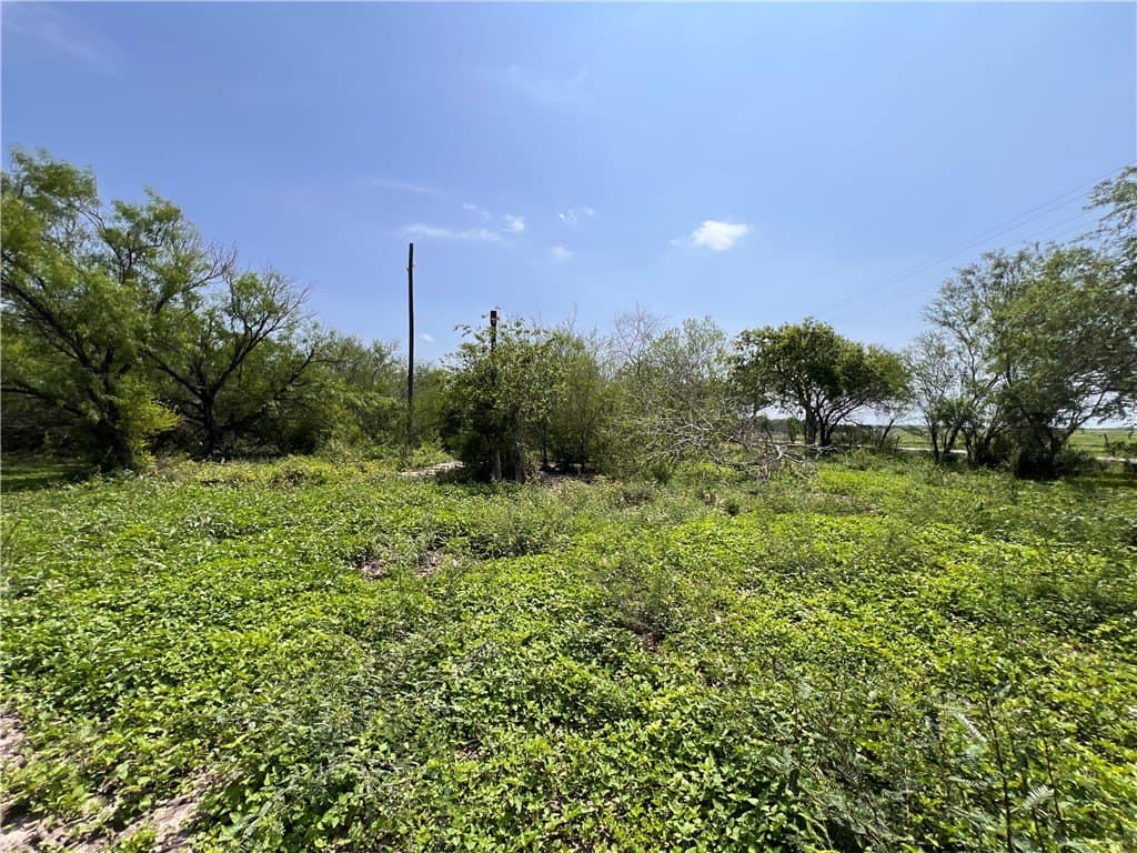 39.35 acres in Nueces County - photo 6
