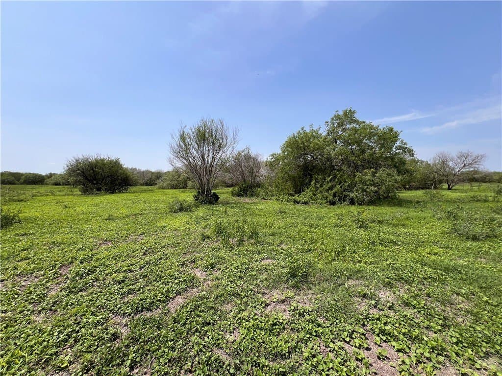 39.35 acres in Nueces County - photo 17