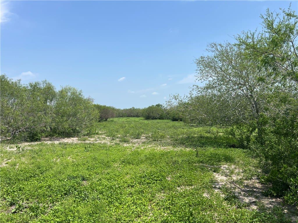 39.35 acres in Nueces County - photo 30