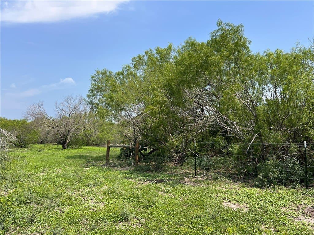 39.35 acres in Nueces County - photo 23