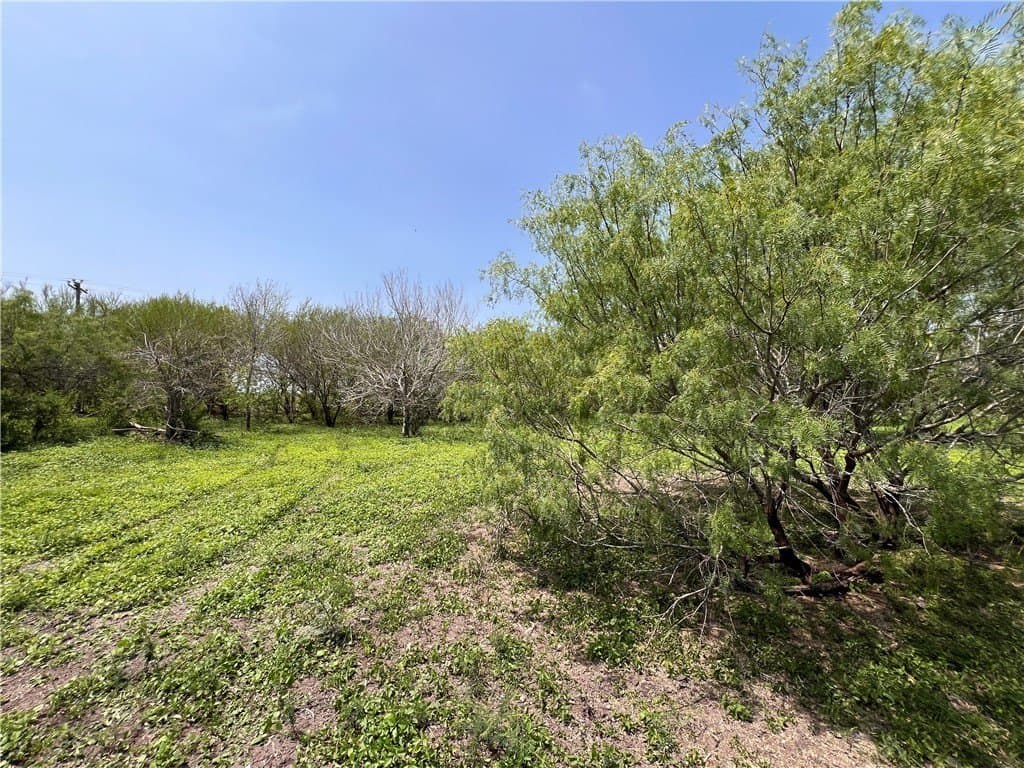 39.35 acres in Nueces County - photo 29