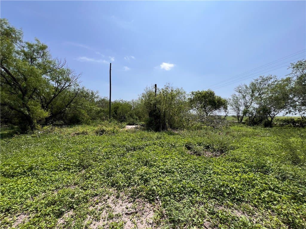 39.35 acres in Nueces County - photo 7