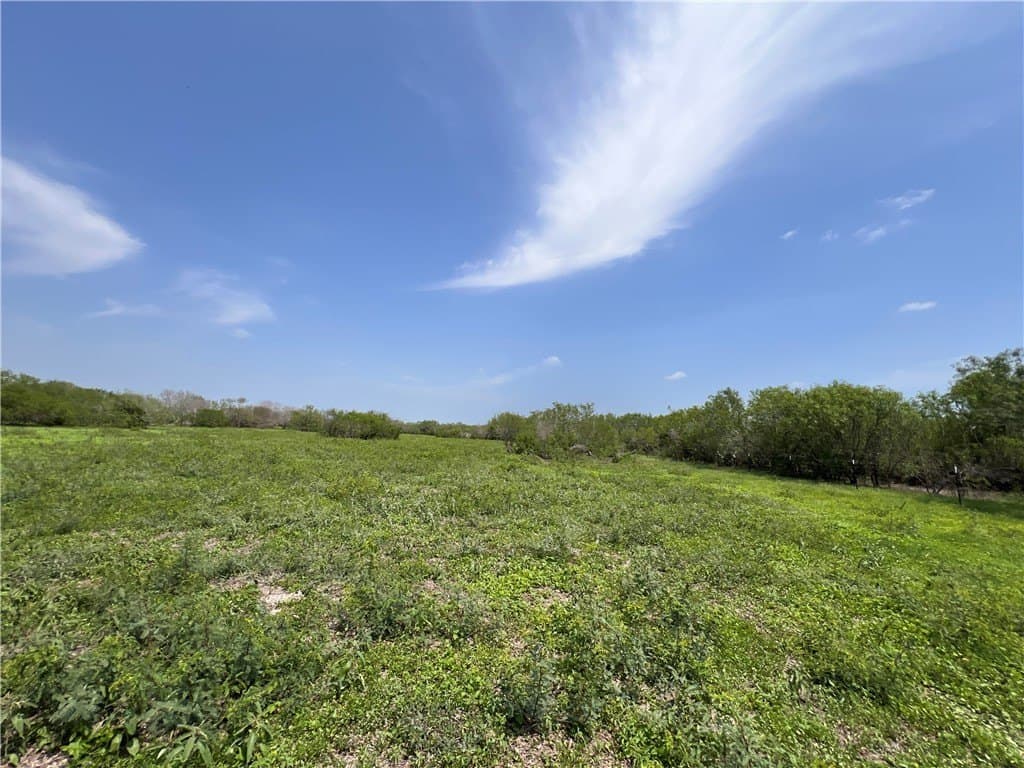 39.35 acres in Nueces County - photo 27