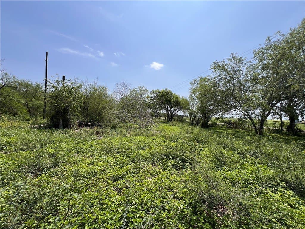 39.35 acres in Nueces County featured view