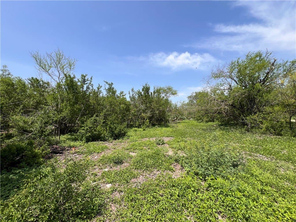 39.35 acres in Nueces County - photo 15