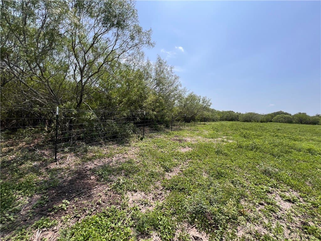 39.35 acres in Nueces County - photo 22