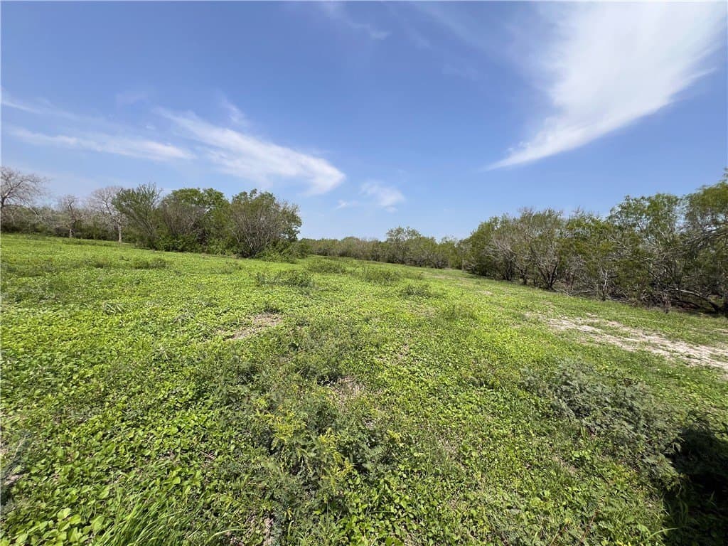 39.35 acres in Nueces County - photo 18