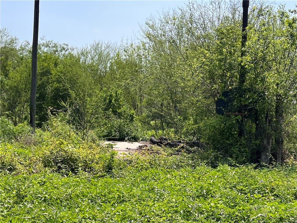 39.35 acres in Nueces County - photo 8