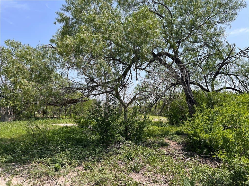 39.35 acres in Nueces County - photo 13
