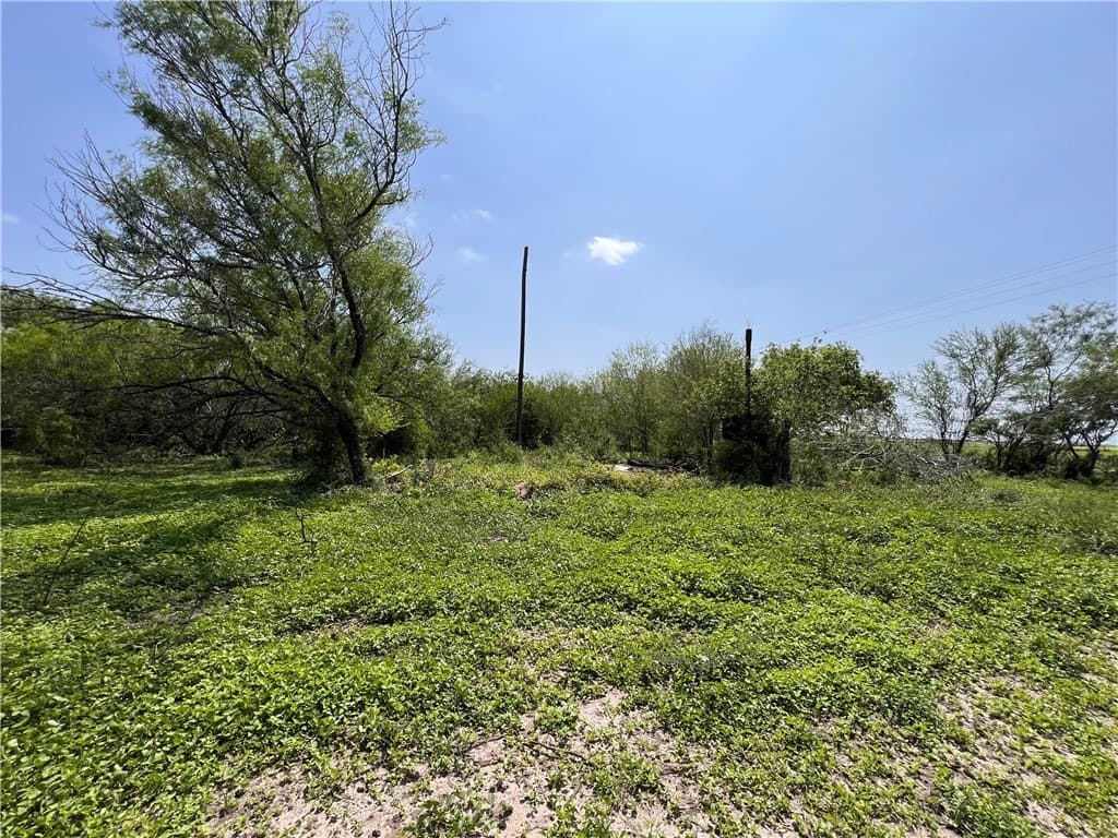 39.35 acres in Nueces County - photo 9
