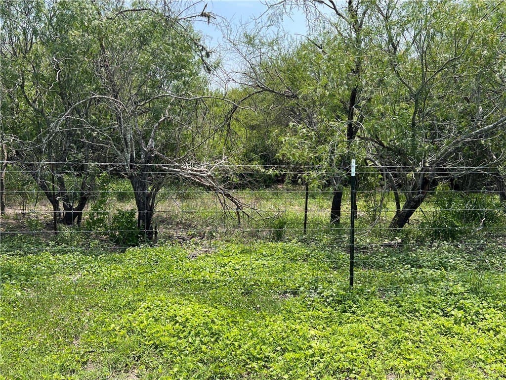 39.35 acres in Nueces County - photo 24