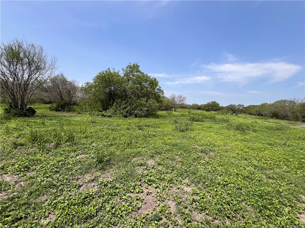 39.35 acres in Nueces County - photo 16
