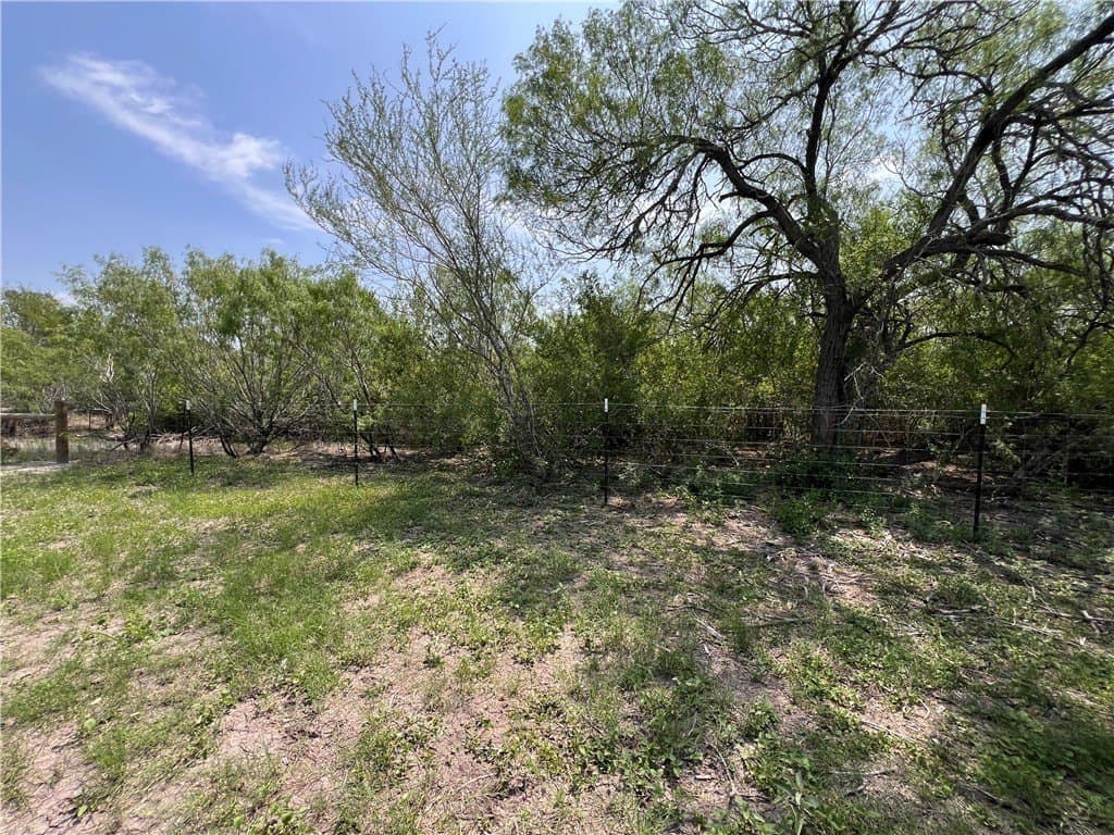 39.35 acres in Nueces County - photo 21