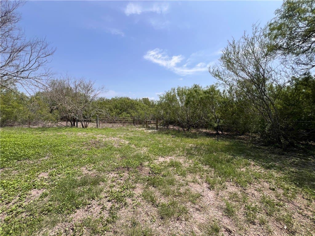 39.35 acres in Nueces County - photo 20
