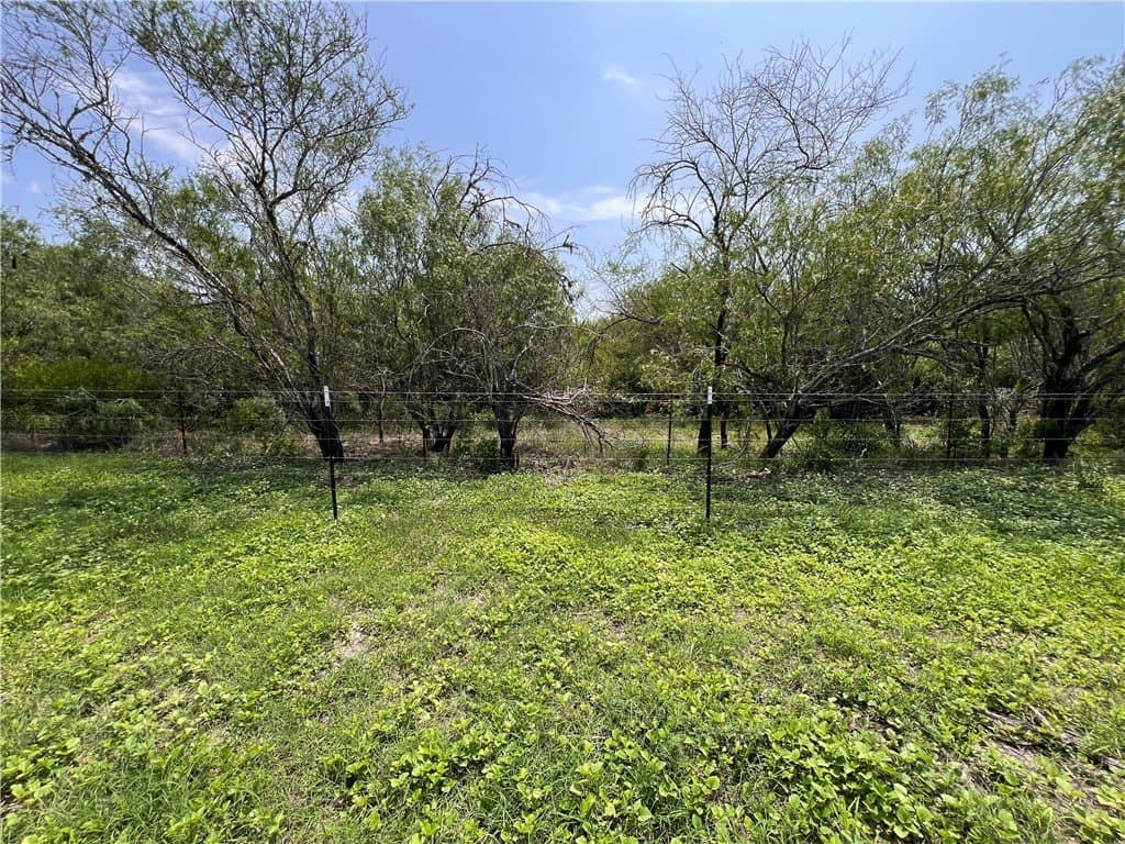 39.35 acres in Nueces County - photo 25