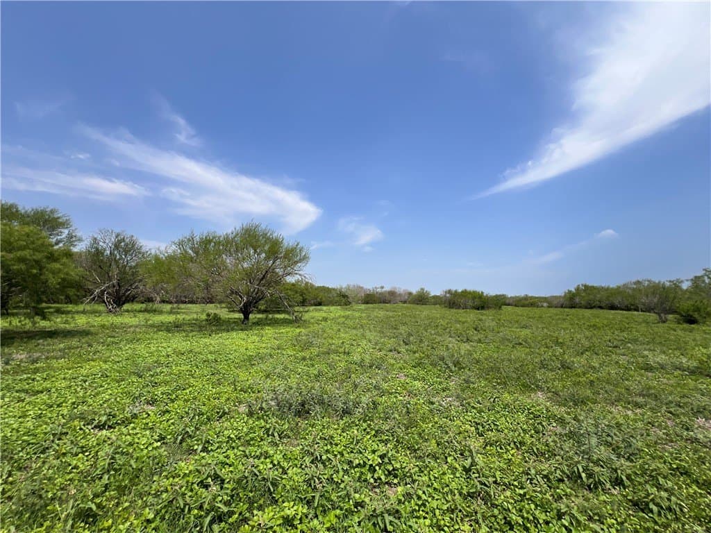 39.35 acres in Nueces County - photo 28