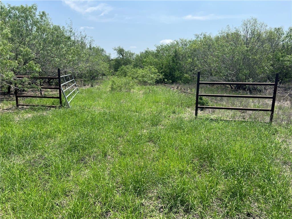 39.35 acres in Nueces County - photo 31