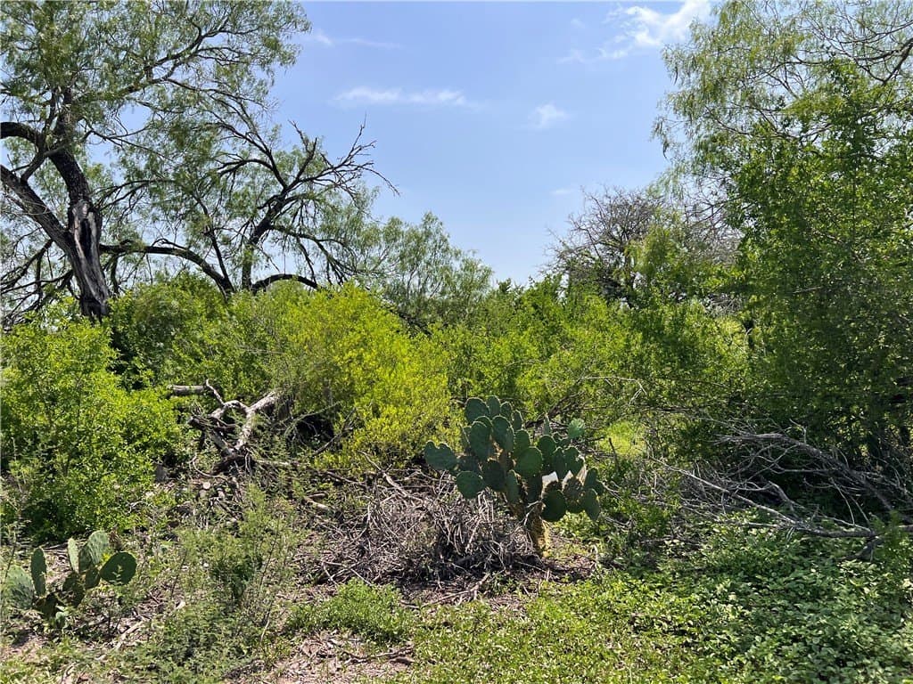 39.35 acres in Nueces County - photo 11