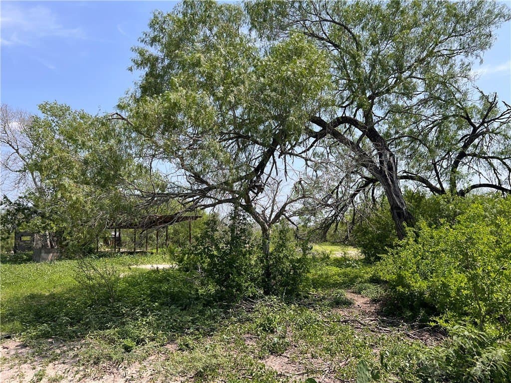 39.35 acres in Nueces County - photo 12