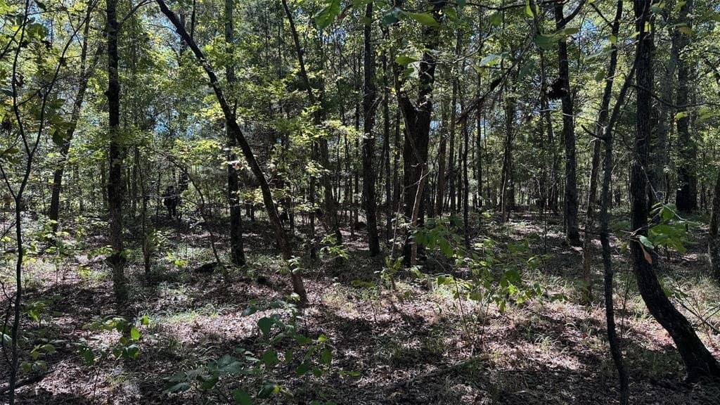25.89 acres in Red River (TX) County