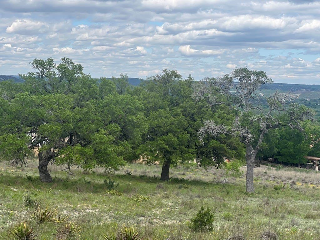 6.9 acres in Kerr County - photo 16