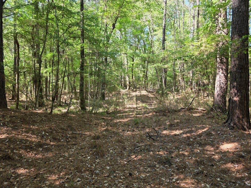 40.9 acres in Texas County - photo 17