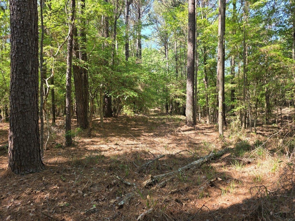 40.9 acres in Texas County - photo 16