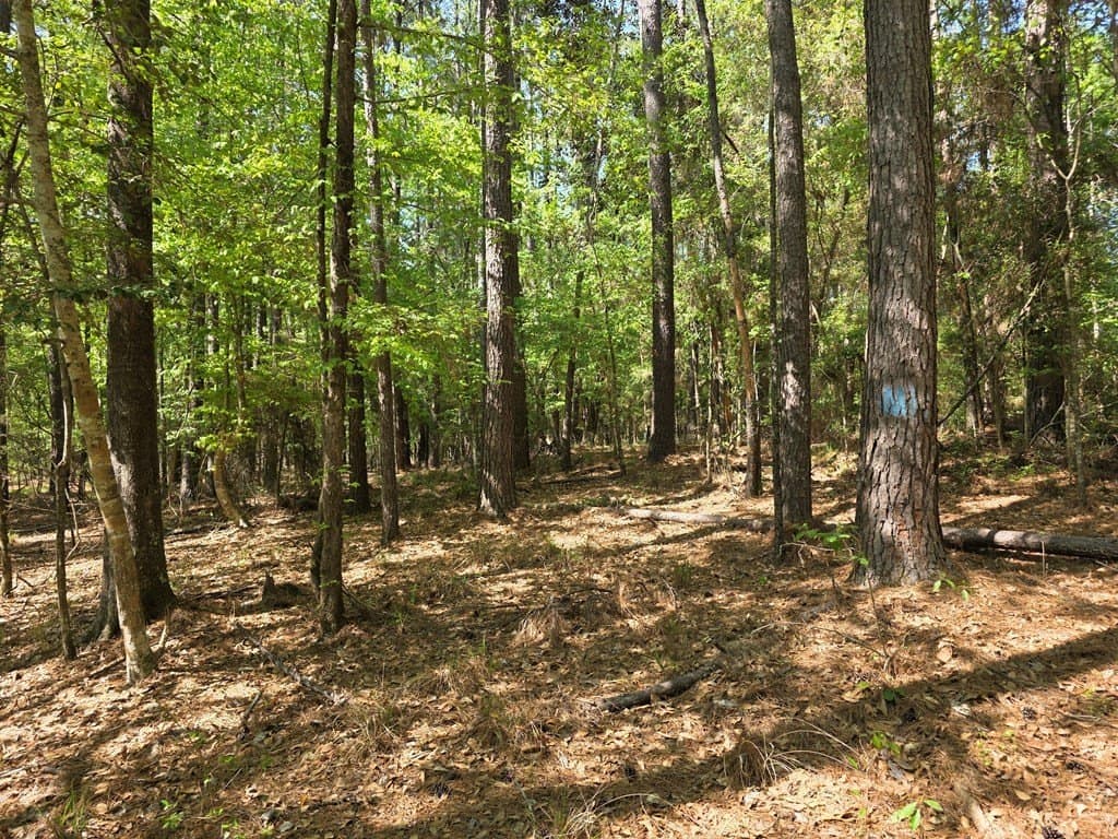 40.9 acres in Texas County - photo 12