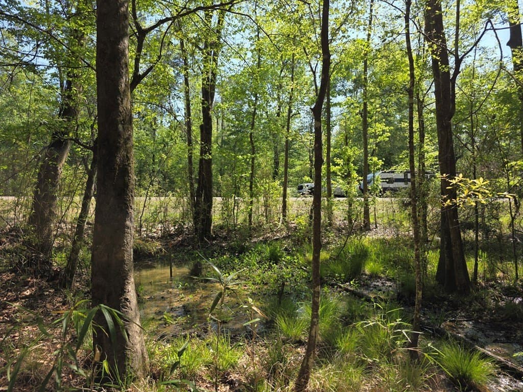 40.9 acres in Texas County - photo 14