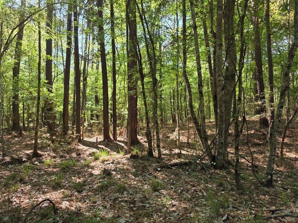 40.9 acres in Texas County - photo 18