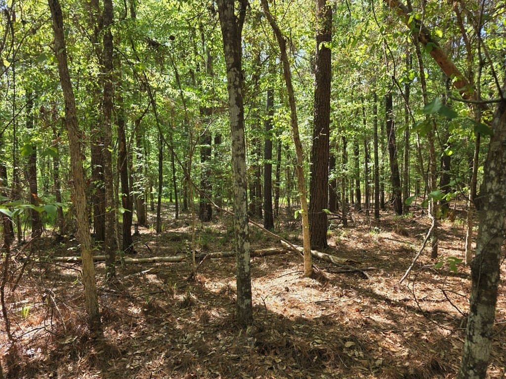 40.9 acres in Texas County - photo 15
