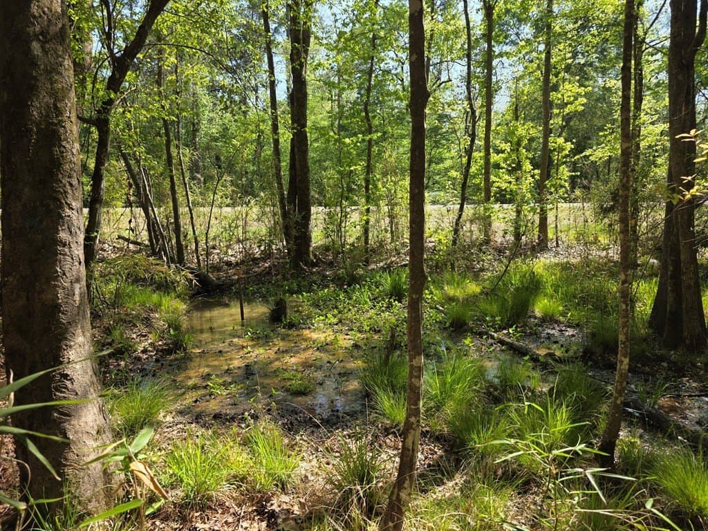 40.9 acres in Texas County - photo 13