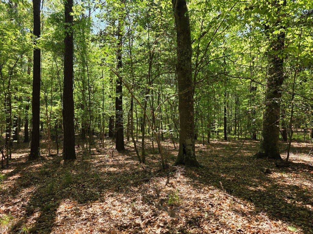 40.9 acres in Texas County - photo 20