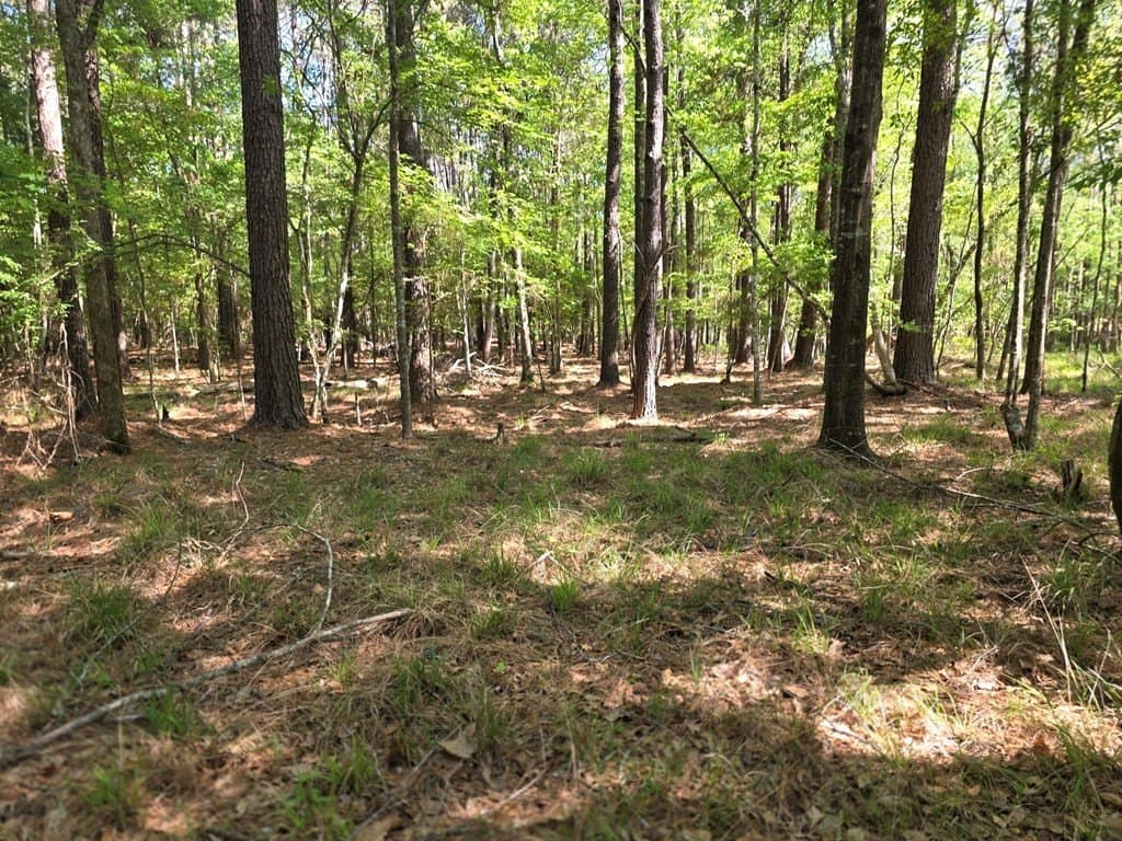 40.9 acres in Texas County - photo 7