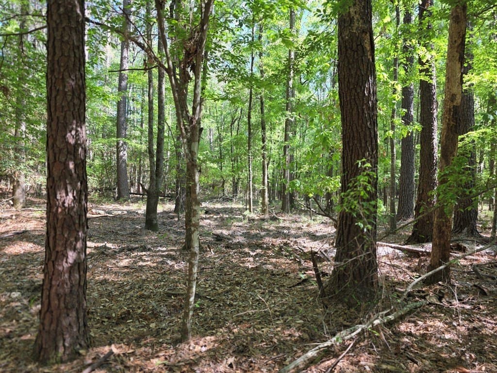 40.9 acres in Texas County - photo 10