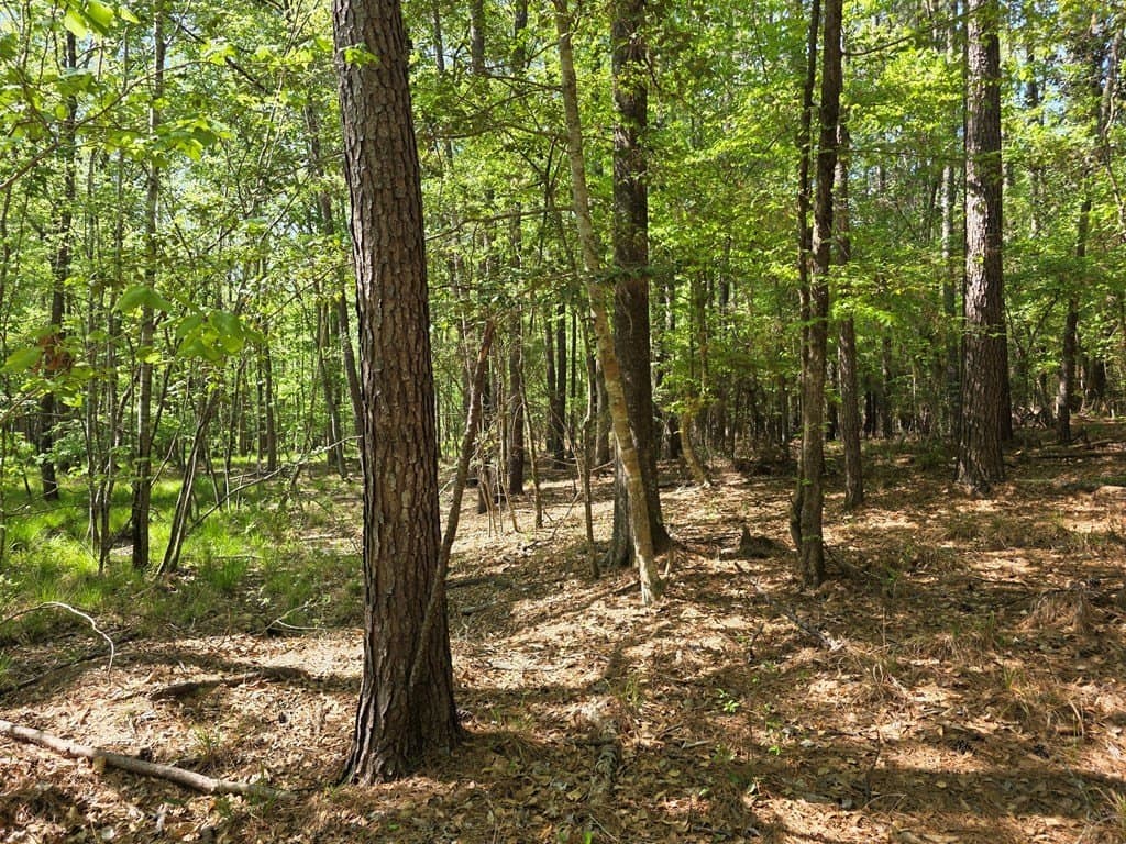 40.9 acres in Texas County - photo 11