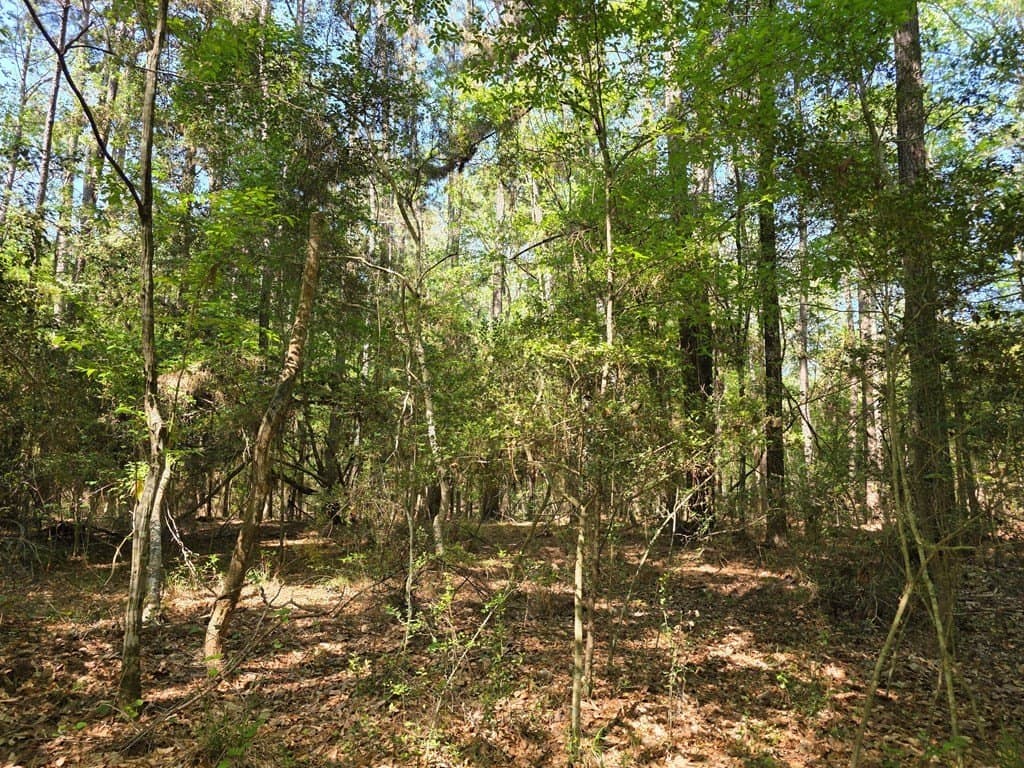 40.9 acres in Texas County - photo 19