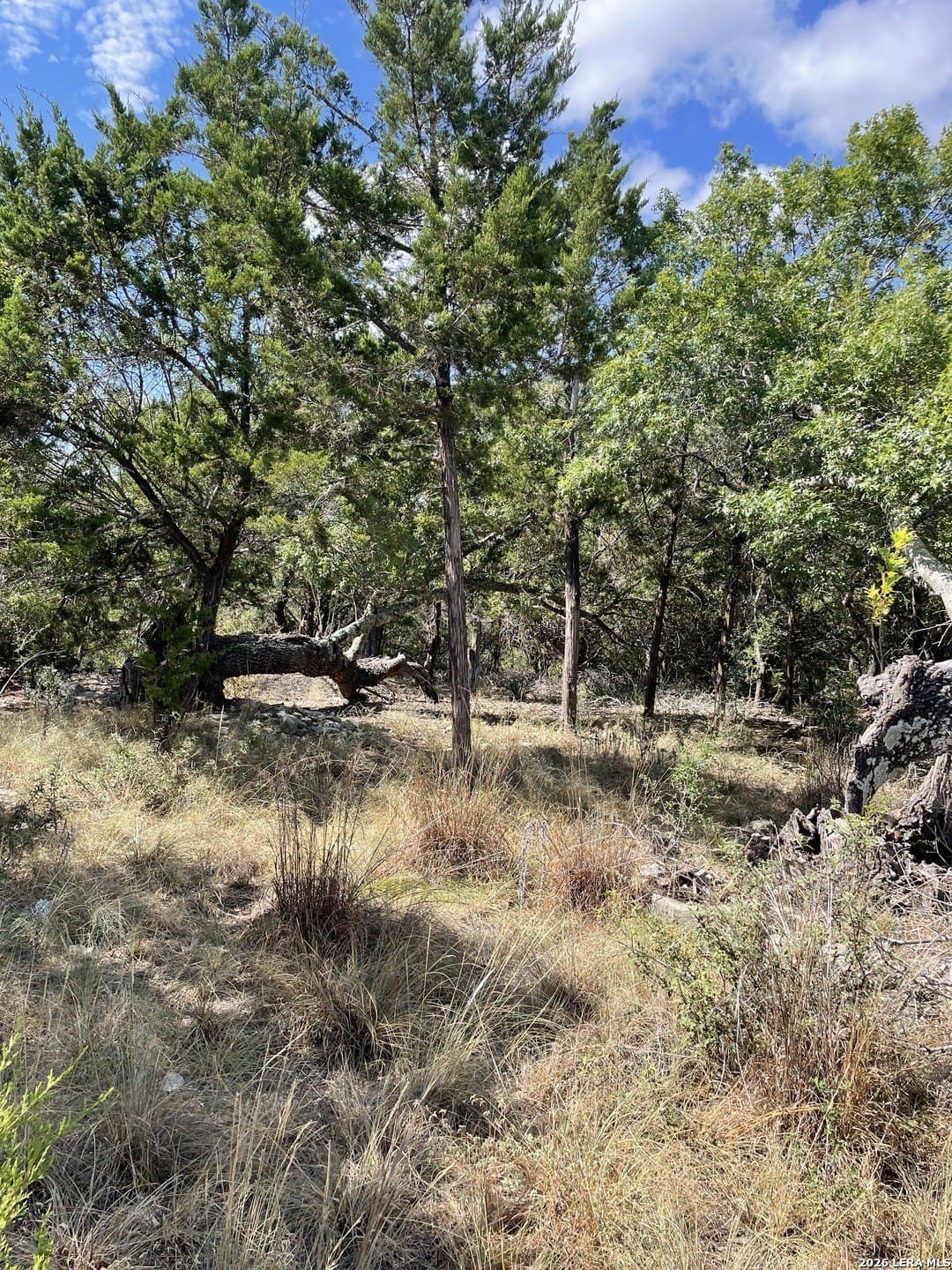 0.54 acres in Comal County - photo 5
