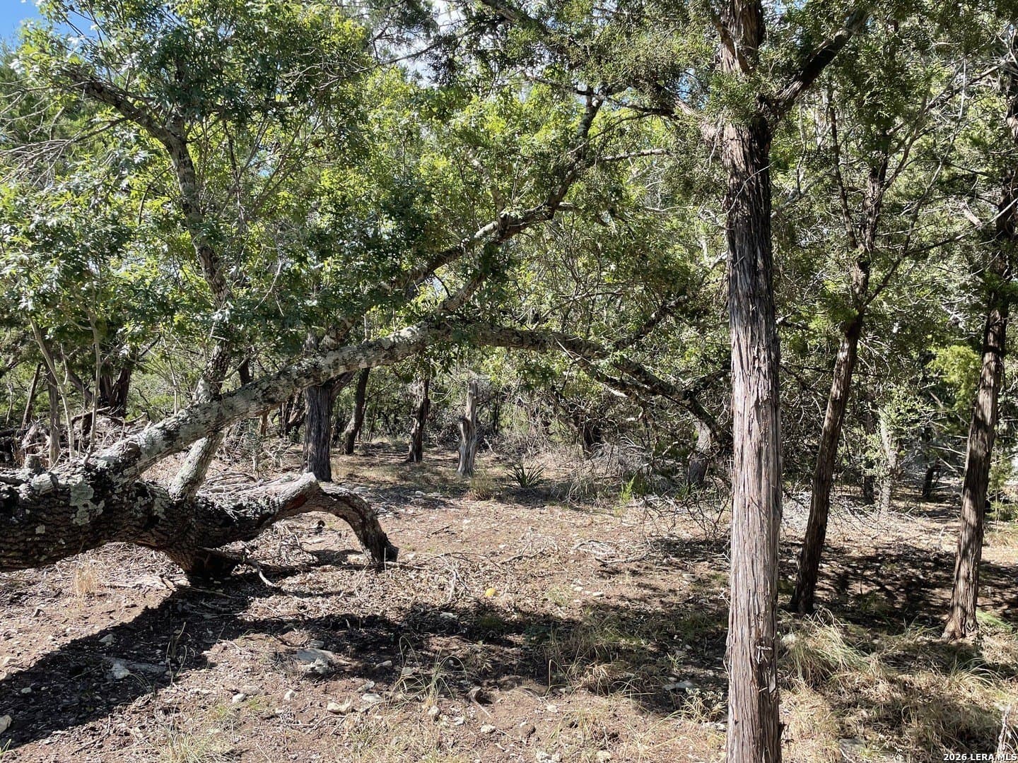 0.54 acres in Comal County - photo 6