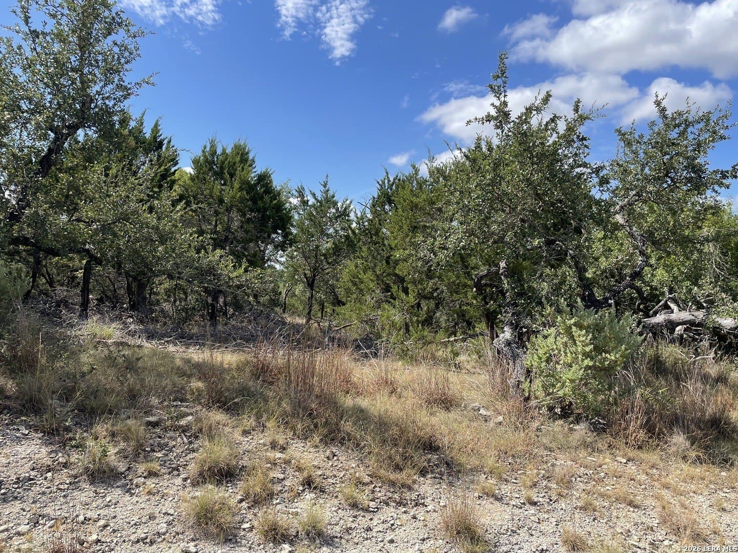 0.54 acres in Comal County - photo 4