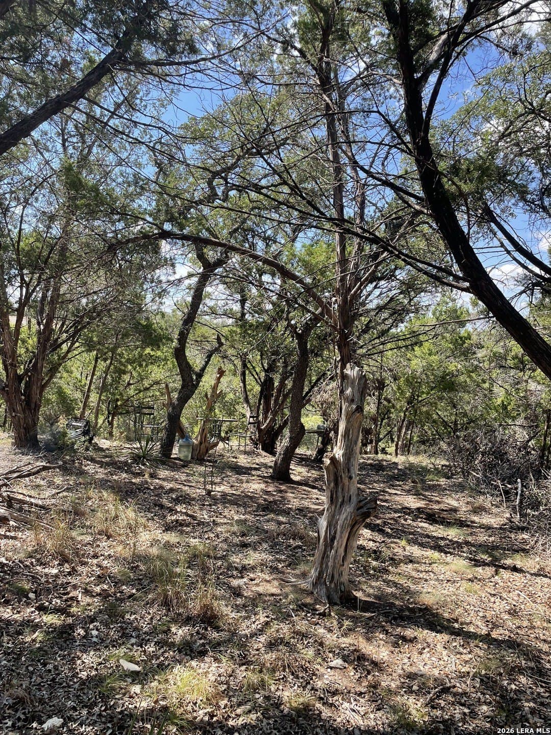 0.54 acres in Comal County - photo 8