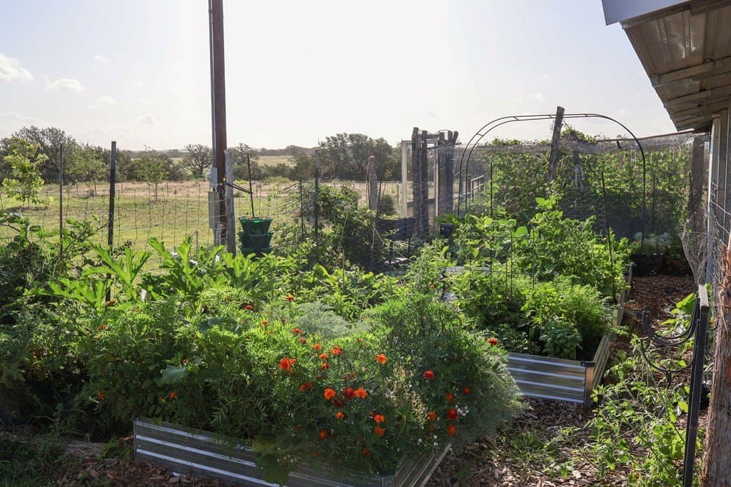 140 acres in McCulloch County - photo 56