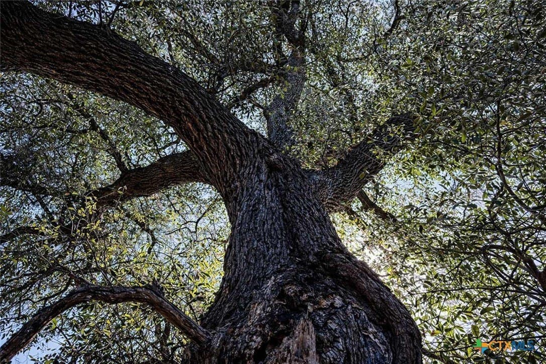 64.86 acres in Coryell County featured view