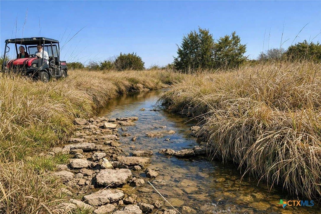 64.86 acres in Coryell County gallery image 4