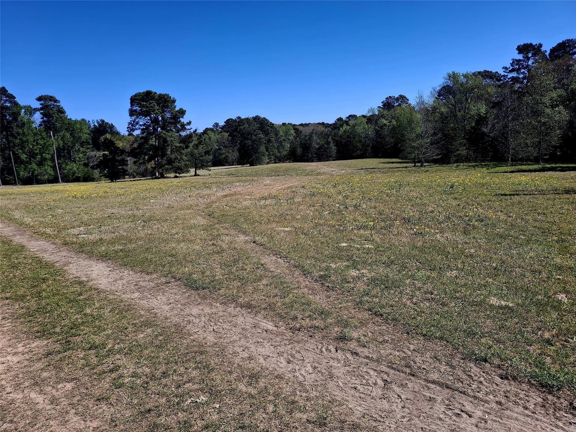 68.82 acres in Cherokee County - photo 10