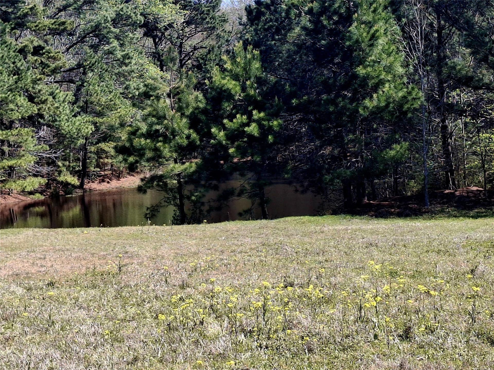 68.82 acres in Cherokee County - photo 7